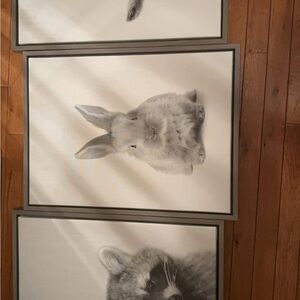 Cute Animal Wall Art Set